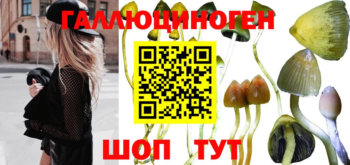 Вышний Волочёк  Псилоцибиновые грибы Psilocybe  Псилоцибиновые грибы MAGIC MUSHROOMS  Вход с VPN 